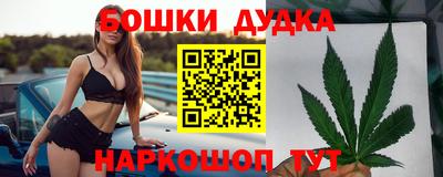МДПВ Будённовск