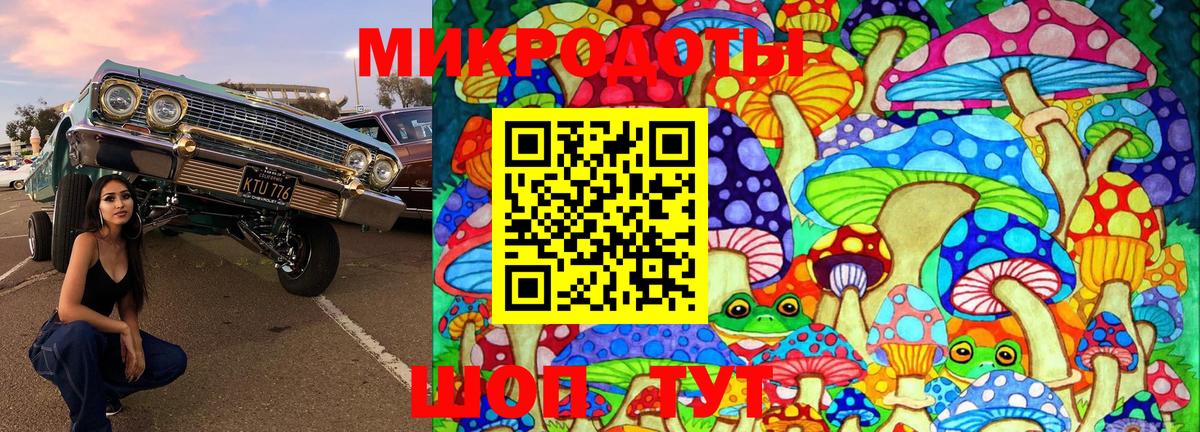 Приморско-Ахтарск  Галлюциногенные грибы Cubensis  Галлюциногенные грибы мухоморы  Вход с VPN 